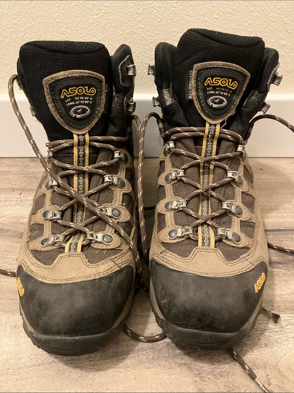 Asolo Sturdy Waterproof Women's Hiking Boots